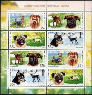 Russia - 2019 Decorative Breeds Of Dogs Mini - Sheet 26.  00€