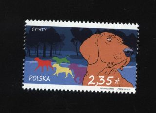 Stamp Fi 4641 - Poland 2015 - Quotations Dogs Polish Hound Animals