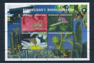 [38809] Madagascar 1999 Insects Insekten Insectes Cactus Mnh Sheet
