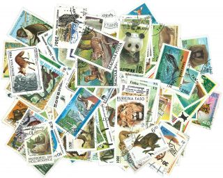 Wild Animals – 250 Different Stamps [2501],  Gift