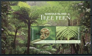 Norfolk Island 2019 Mnh Tree Fern 2v M/s Ferns Plants Nature Stamps
