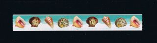 Us Seashells (sc 5167 - 70) Plate Number Strip Of 9 Postage Stamp Issue