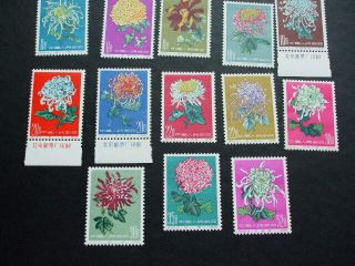 China Chrysanthemums Set Of 18 Some Borders 1960 3