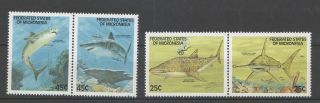 Micronesia,  Scott 77 - 80,  Set Of 4 Sharks,  Year 1989,  Never Hinged