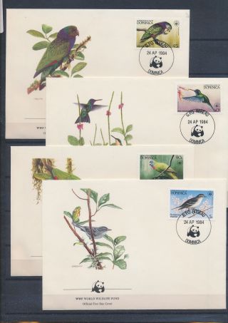 Xb72426 Dominica 1984 Animals Fauna Flora Birds Wwf Fdc 