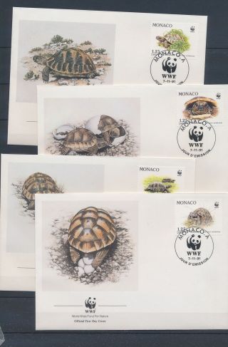 Xb72402 Monaco 1991 Turtles Animals Reptiles Wwf Fdc 