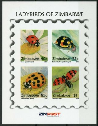 Zimbabwe 2018 Mnh Ladybirds Ladybugs 4v Impf M/s Insects Beetles Stamps
