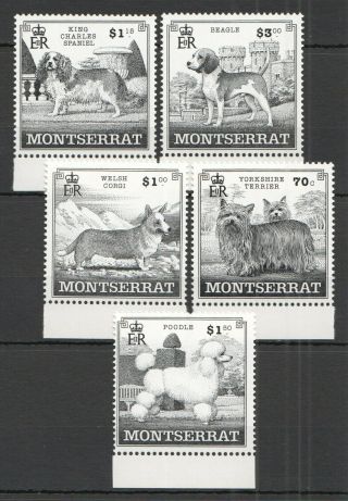 W169 Montserrat Fauna Pets Dogs 1100 - 04 Michel 12 Euro 1set Mnh