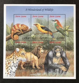 Sierra Leone Wild Animals Stamps Sheet 1999 Mnh Wonderland Of Wildlife Lion Bird