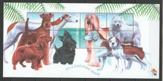 W1447 2001 Guyana Fauna Pets Dogs It 