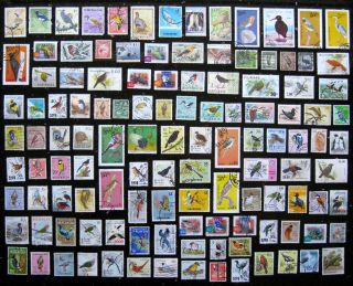 Birds Of Asia.  Large Selection Of Stamps.