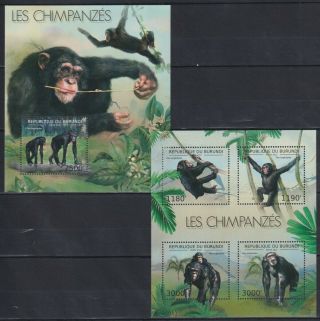 S942.  Burundi - Mnh - Animals - Chimpanzees - 2012