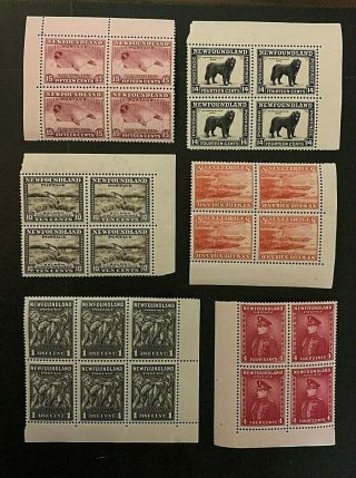 Newfoundland Stamps 1932 Issue Blocks Mnh