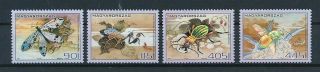 D002970 Insects Mnh Hungary 2014
