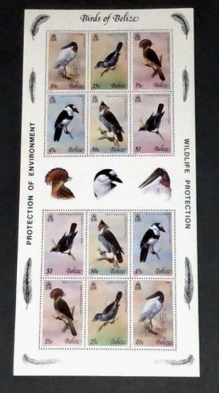 1980 Belize Birds Flawless Ss Of 12 Stamps Perfect Mnh Scott 500g Bv $150