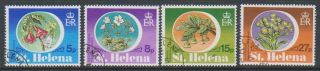 St Helena - 1981,  Endemic Plants Set - F/u - Sg 369/72 (a)