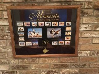Minnesota Duck Stamp Prints.  The First 20 Years