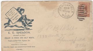 1885 Advertising Cover,  Sheldon,  Fresh Fish,  Oysters & Salt Meats,  Springfield