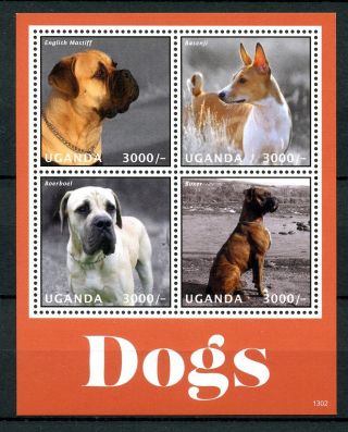 Uganda 2013 Mnh Dogs I 4v M/s Pets English Mastiff Basenji Boerboel Boxer Stamps