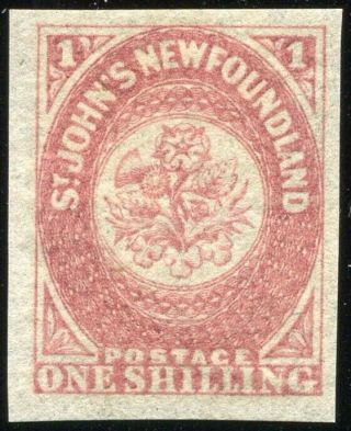 (se241) St.  John S Newfoundland Old Mlh Stamp Vf Signed No Res