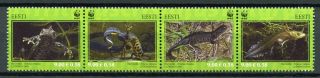Estonia 2010 Mnh Great Crested Newt Wwf 4v Strip Newts Amphibians Animals Stamps