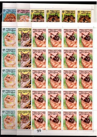 // 40x Sahara - Mnh - Nature - Cats - Pets - 1999 - Folded Sheets