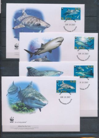 Xb72278 St Kitts 2007 Sharks Fish Sealife Wwf Fdc 