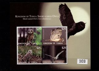 // Tonga - Mnh - Nature - Birds - Owls - 2012