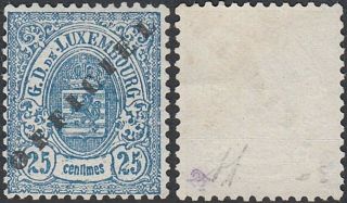 Luxembourg 1878 - Stamp Without Gum.  Mi Service Nr: 16ii A.  (eb) Mv - 4797