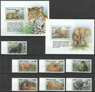 P522 Sierra Leone Wild Animals African 2050 - 59 Michel 37 € 2bl,  Set Mnh