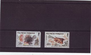 French Polynesia - Sg26 - 27 Mnh 1962 Fishes