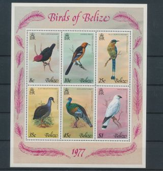 Lk70750 Belize 1977 Animals Fauna Flora Birds Good Sheet Mnh