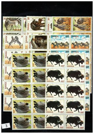 == 10x Rwanda 1984 - Mnh - Zebra -
