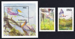 Tanzania Birds 2v,  Ms Wwf - Related Mnh Sg 647=ms650 Sc 474=477