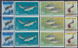 1967 Thailand Siam Stamp Thai Fishes Complete Set Mnh Sc 464 - 7 - 3 Sets