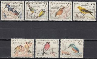 Czechoslovakia Wildlife Birds Stamps Mnh