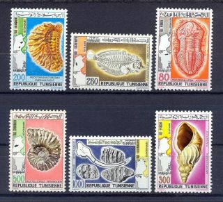 1982 - Tunisia - Tunisie - Tunisian Palaeontology Pre - Historic Animal Fossils Mnh