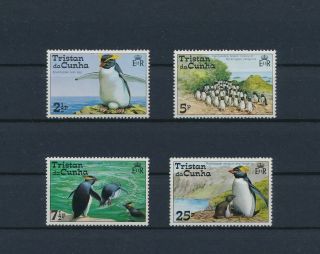 Lk79491 Tristan Da Cunha Penguins Animals Birds Fine Lot Mnh