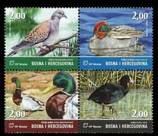 [sold] Bosnia Herzegovina Croatian 2007 Birds 4v Mnh