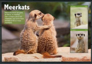 Gambia 2017 Mnh Meerkats 2v S/s Mammals Wild Animals Stamps