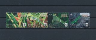 Gx02975 Tonga 2016 Iguana Animals Reptiles Wwf Strip Mnh