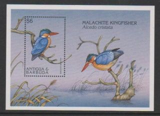 Antigua - 1997,  Endangered Species,  Kingfisher Birds Sheet - Mnh - Sg Ms2469c