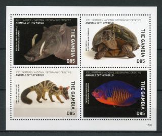 Gambia 2017 Mnh Wild Animals Of World 4v M/s Civet Barbirusa Fish Turtles Stamps