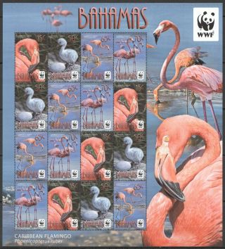 L1537 2012 Bahamas Wwf Fauna Birds Caribbean Flamingo 1447 - 50 1sh Mnh