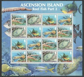 L1533 2010 Ascension Island Marine Life Reef Fish 2 1170 - 3 Michel 40 Eu Sh Mnh
