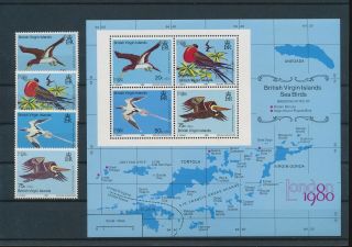 Lk67865 British Virgin Islands Animals Fauna Flora Birds Fine Lot Mnh