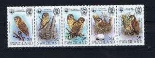 Db160 Swaziland 1982 Wildlife Conservation African Fishing Owl Strip Of 5 Mnh