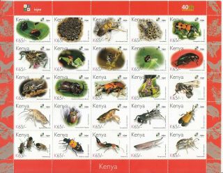 2011 Kenya Icipe Insects 65 Shilling Complete Sheet Of 25 Different Mnh Stamps