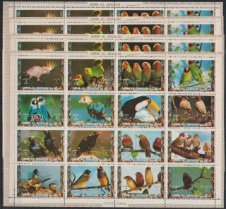 Z698.  4x Umm Al Qiwain - Mnh - Animals - Birds - Exotic