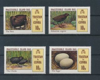Lk63178 Tristan Da Cunha Animals Fauna Flora Birds Fine Lot Mnh